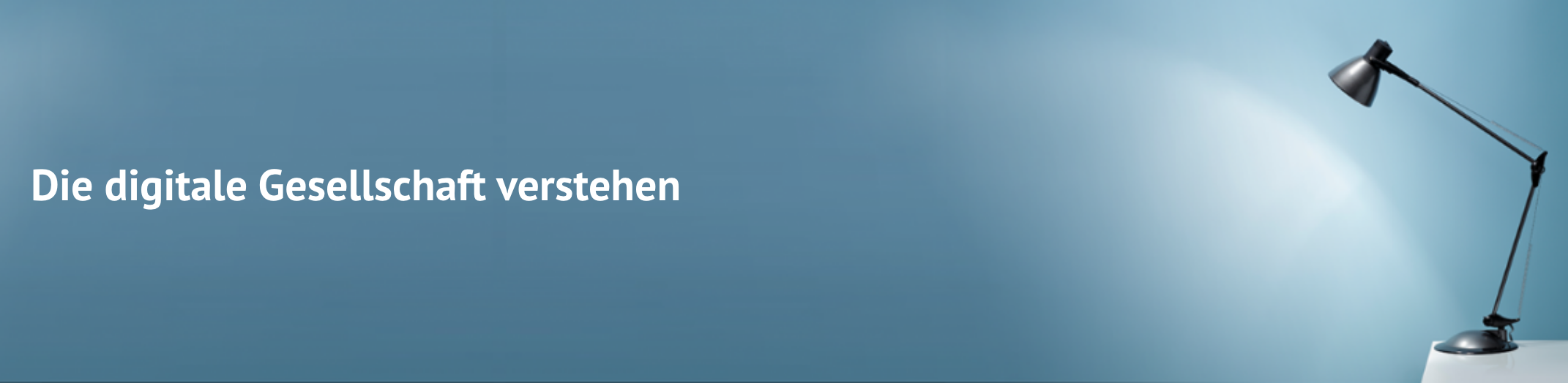 Banner_Forschungsübersicht de Banner_Forschungsübersicht de
